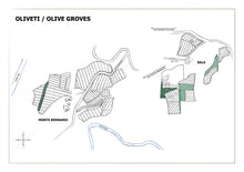 Carica l'immagine nel visualizzatore di Gallery, EVOO Extra Vergine Olio di Olive- 0,5L, 3L