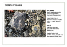 Load image into Gallery viewer, MONTE BERNARDI - 2022 Chianti Classico DOCG Riserva