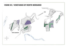 Laden Sie das Bild in den Galerie-Viewer, MONTE BERNARDI - 2023 Chianti Classico DOCG Riserva