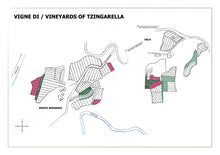 Laden Sie das Bild in den Galerie-Viewer, TZINGARELLA - 2024 IGT Colli della Toscana Centrale Rosso