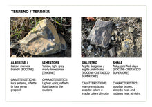 Carica l'immagine nel visualizzatore di Gallery, EVOO Extra Vergine Olio di Olive- 0,5L, 3L