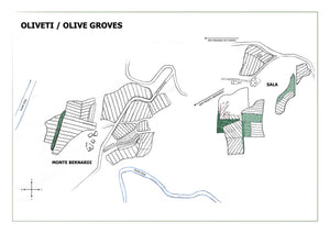 EVOO Extra Vergine Olio di Olive- 0,5L, 3L