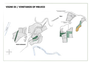 MB1933 - 2022 Chianti Classico DOCG