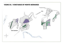 Carica l&#39;immagine nel visualizzatore di Gallery, MONTE BERNARDI - 2022 Chianti Classico DOCG Riserva
