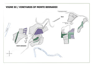 MONTE BERNARDI - 2022 Chianti Classico DOCG Riserva