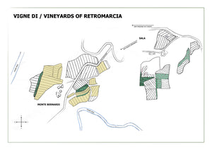 RETROMARCIA - 2022 Chianti Classico DOCG