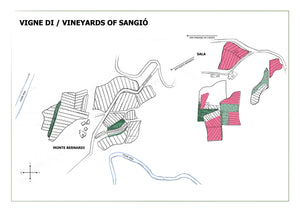 SANGIÓ - 2022 Chianti Classico DOCG