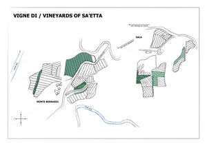 SA'ETTA - 2022 Chianti Classico Riserva
