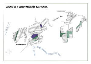 TZINGANA - 2021 IGT Colli della Toscana Centrale Rosso