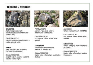TZINGARELLA - 2023 IGT Colli della Toscana Centrale Rosso