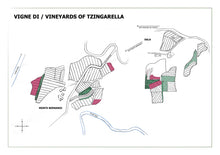 Laden Sie das Bild in den Galerie-Viewer, TZINGARELLA - 2023 IGT Colli della Toscana Centrale Rosso
