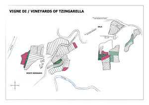 TZINGARELLA - 2023 IGT Colli della Toscana Centrale Rosso