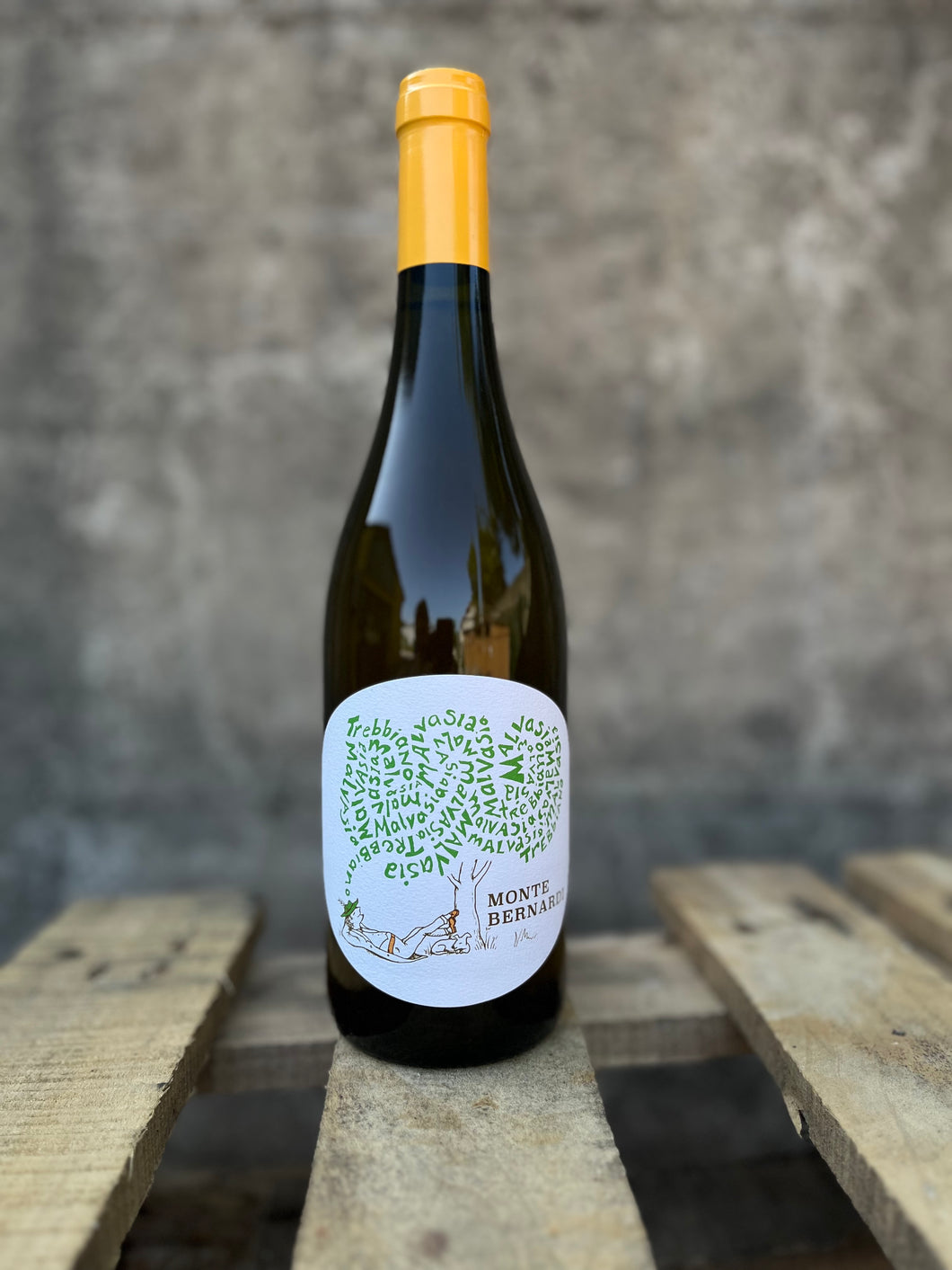 MONTE BERNARDI - 2024 Bianco IGT CTC